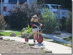IMG_7003