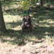 View album