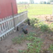 View album