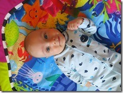 IMG_7781