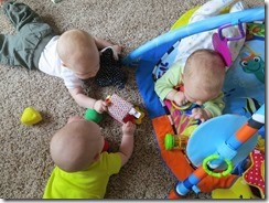IMG_8028