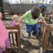View album