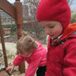 View album