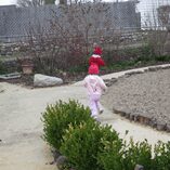 View album