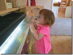 IMG_0990