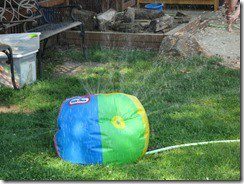 IMG_2557