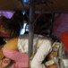 View album