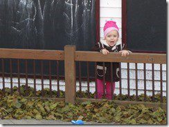 IMG_1488