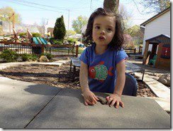 DSCN3065