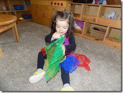 DSCN3341
