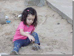 DSCN6799