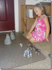 DSCN0962