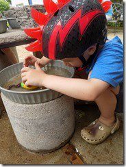 DSCN3675