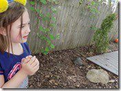 DSCN3688