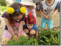 DSCN3696