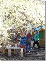 DSCN1359