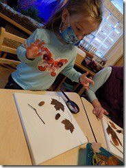 DSCN0739