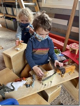 IMG_3016