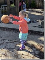 IMG_4702