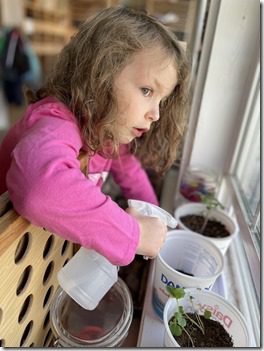 IMG_6634