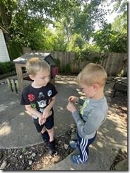 IMG_0659