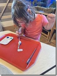IMG_1525