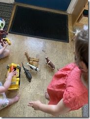 IMG_8317