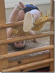 IMG_8771