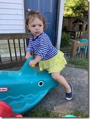 IMG_0528