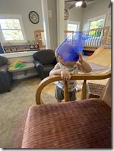 IMG_0703