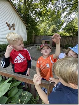 IMG_5135