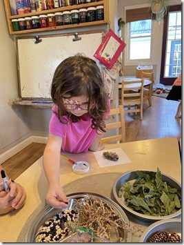 IMG_5617