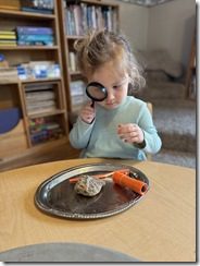 IMG_0180(5)