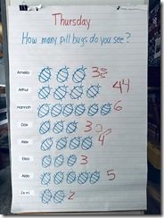 IMG_2537(5)