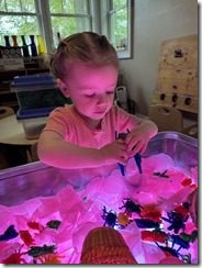 IMG_5230(4)