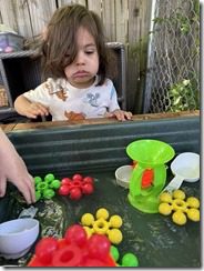 IMG_5369(4)