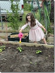 IMG_3047(6)