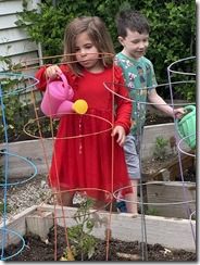 IMG_3069(6)