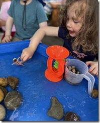 IMG_3721