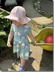 IMG_6875(4)