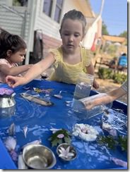 IMG_4910(5)
