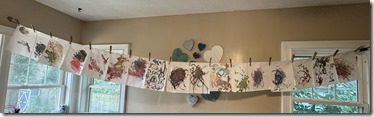 IMG_7967(4)