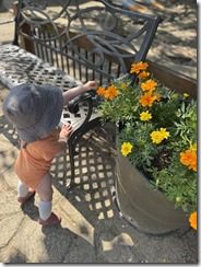 IMG_7977(4)