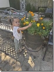 IMG_1604