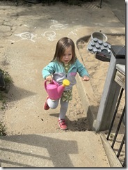 IMG_6267(2)