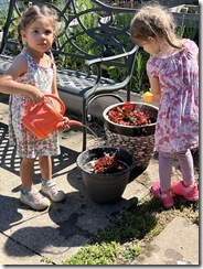 IMG_6736