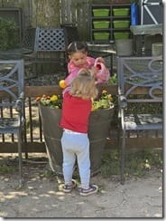 IMG_6987(2)