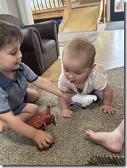 IMG_7678(1)